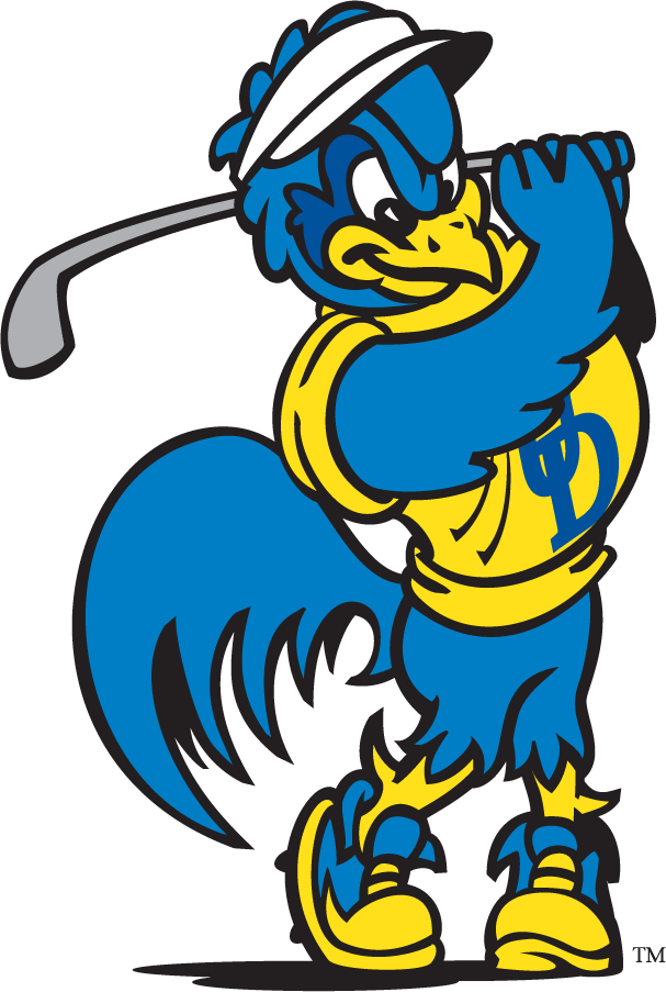 Delaware Blue Hens 1999-2009 Mascot Logo v7 diy iron on heat transfer